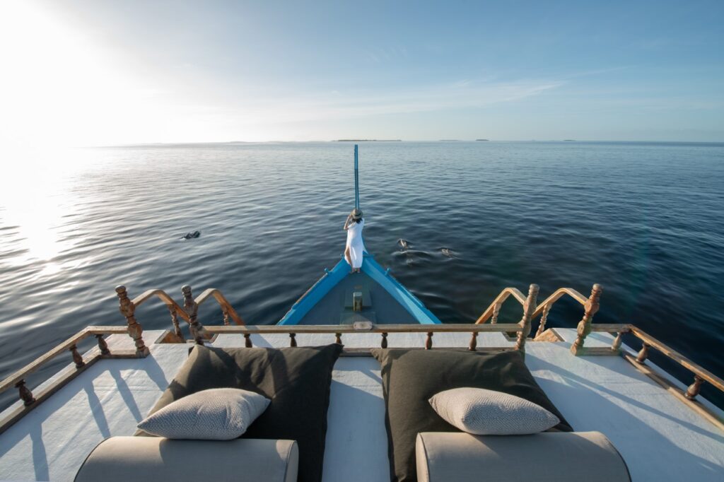 Alila Kothaifaru Maldives - Dolphin Cruise