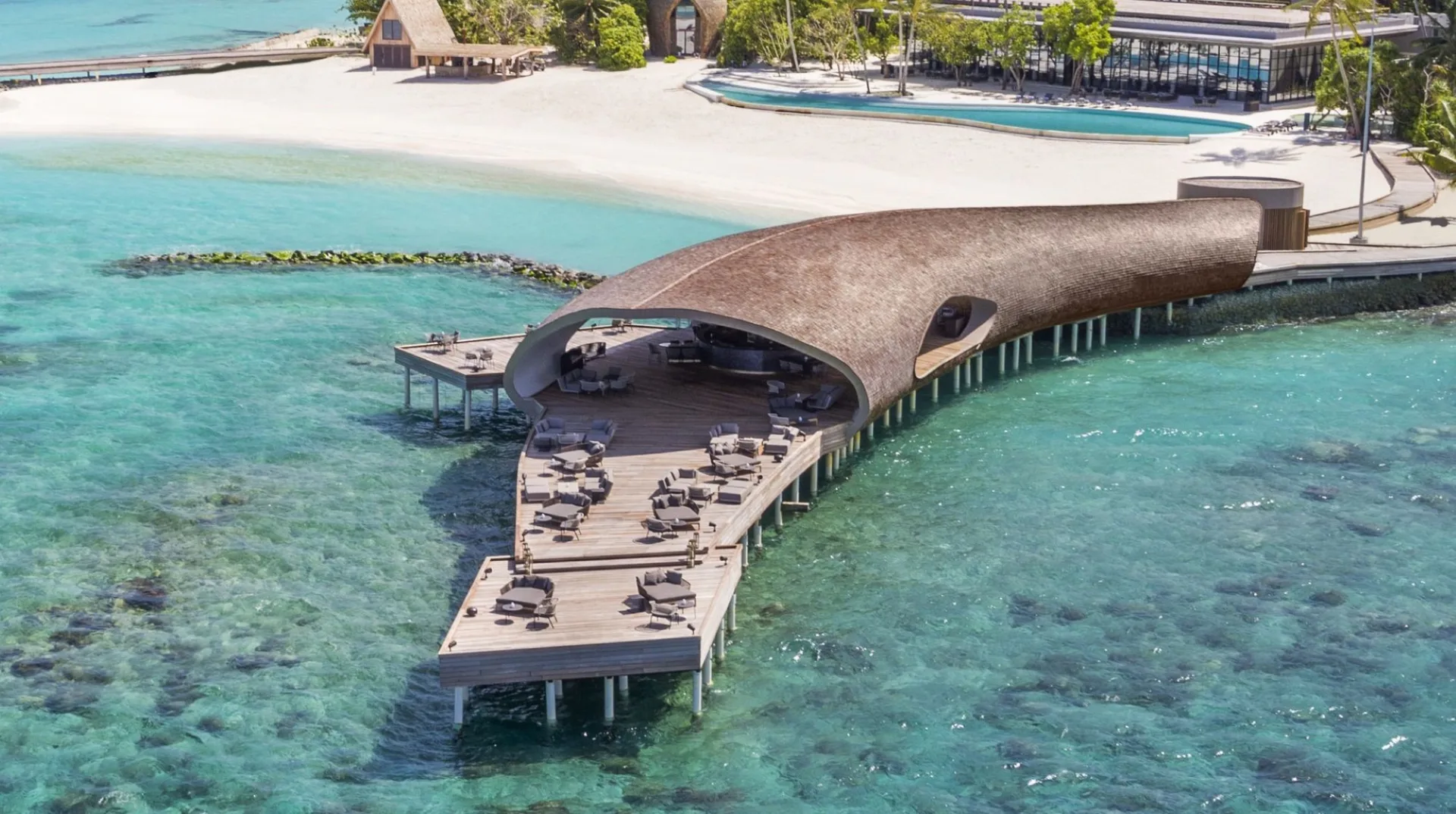Aerial Whale Bar