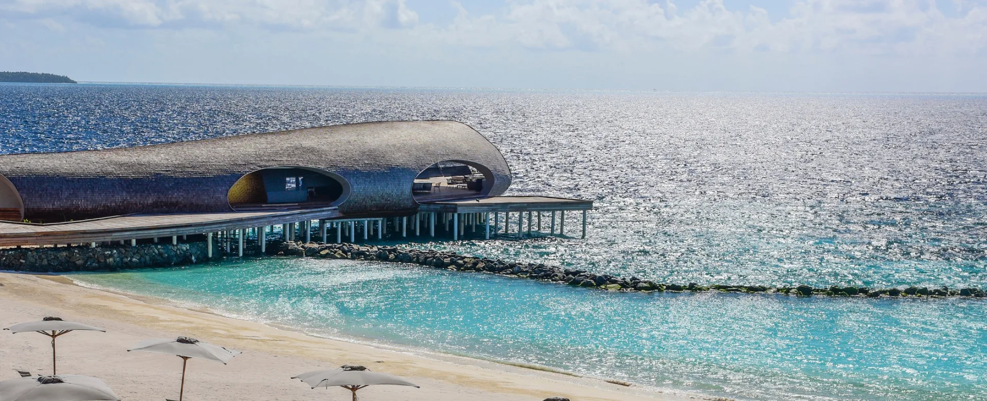 Infinity Pool beach and Whale Bar