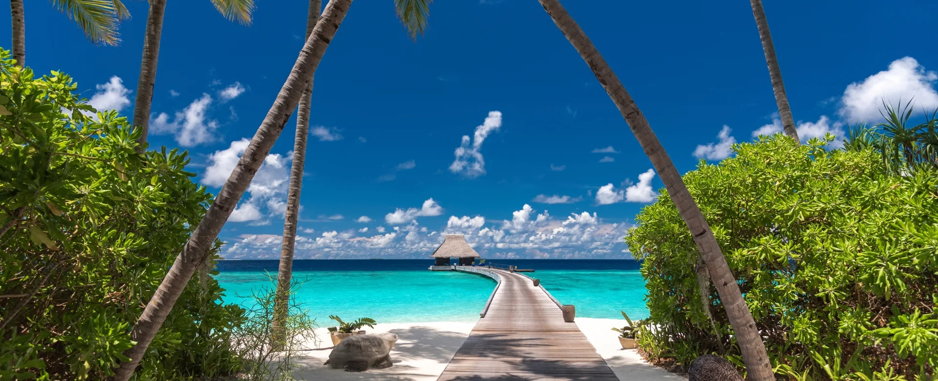 Velaa Private Island Arrival