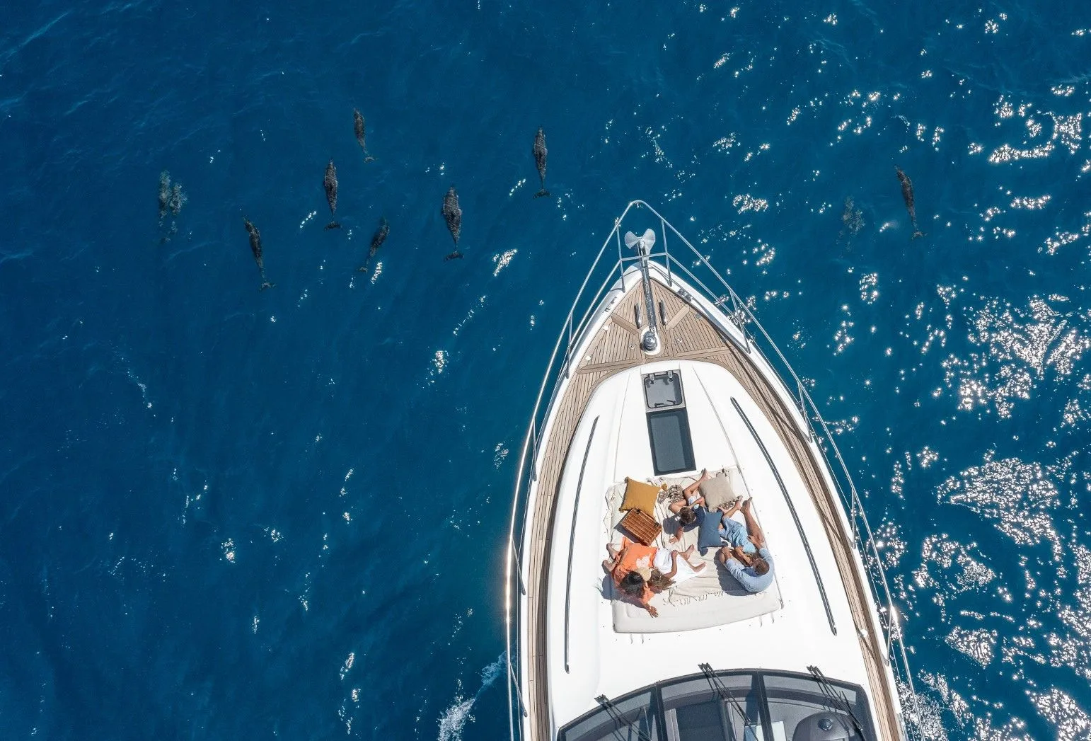 Dolphin Cruise