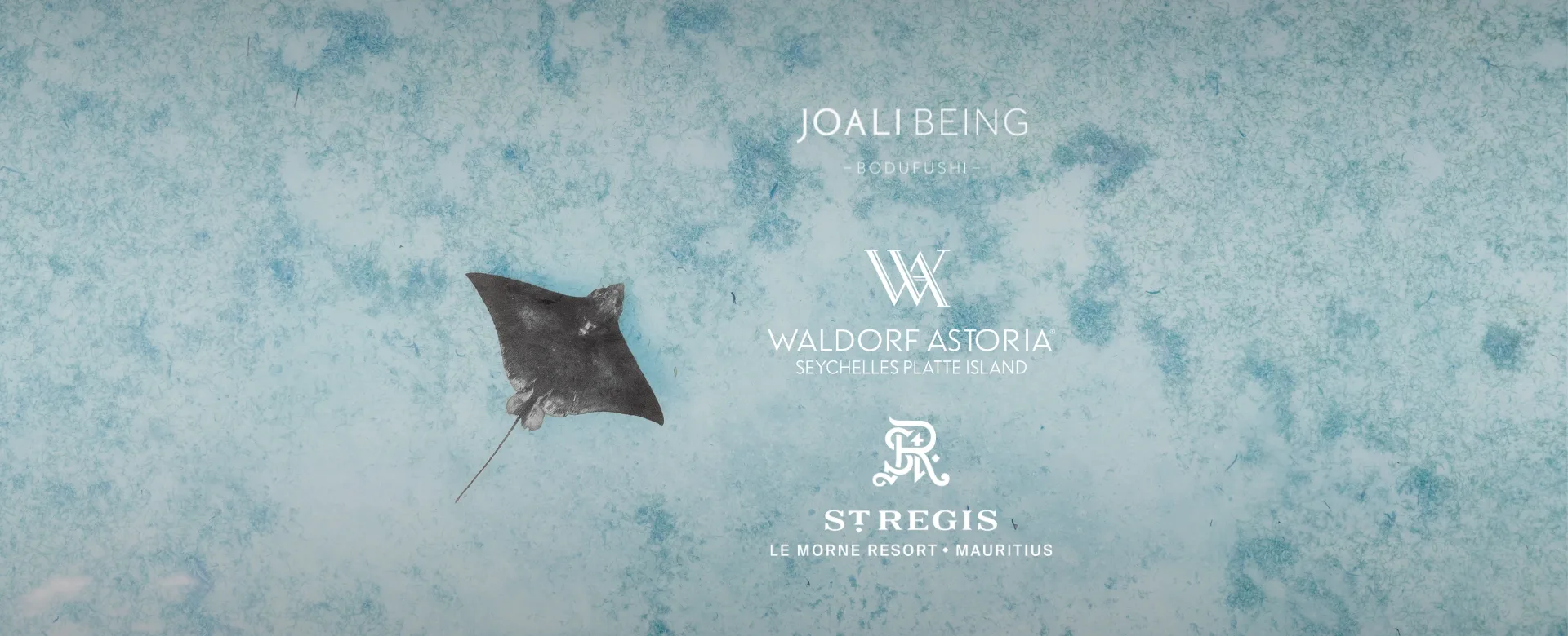 Highlights of the Month - December