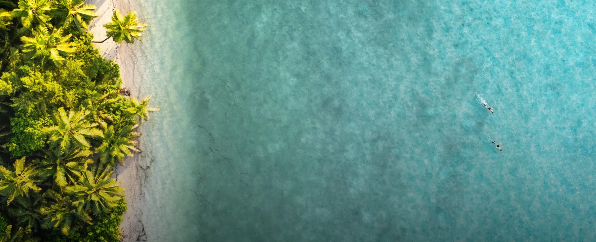 WA Sey Platte Website Banner