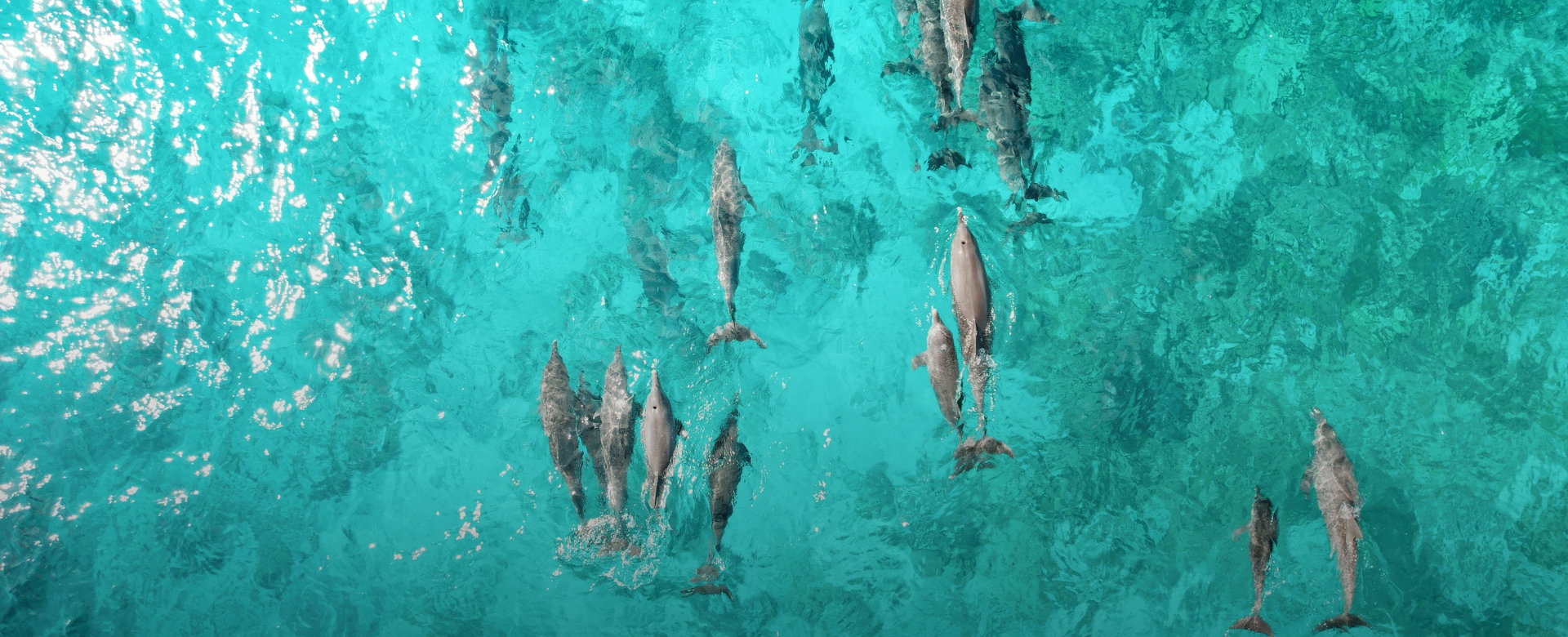 Cheval Blanc Randheli