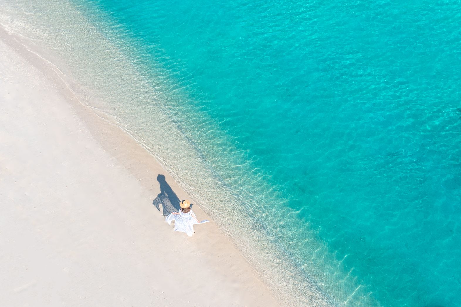 TNM - Stroll by the beach