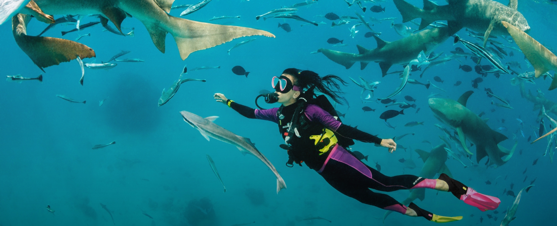 Ocean Discovery Week 2026 at The Nautilus Maldives