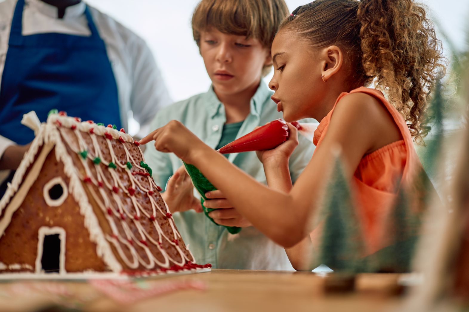 A Summer Programme Built Around Shared Experiences