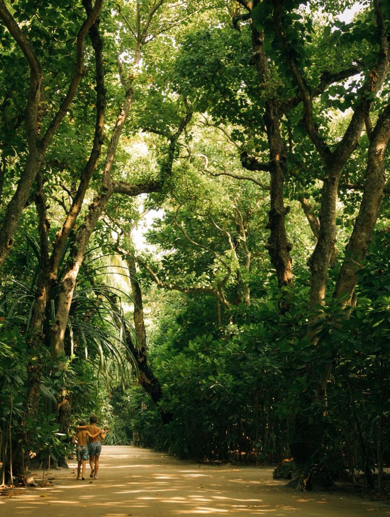 Soneva Fushi - Island - Jungle