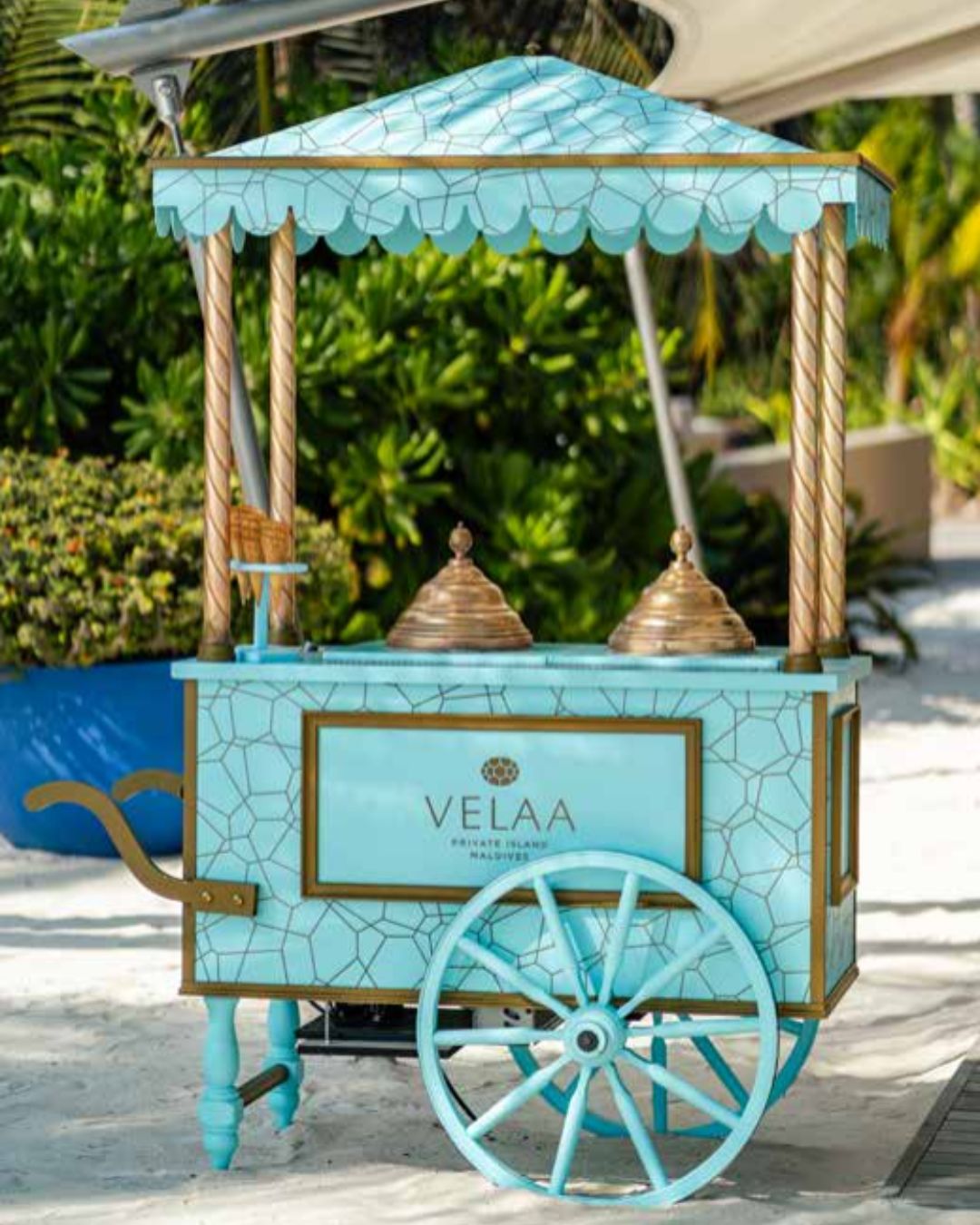 Velaa's New Ice Cream Cart