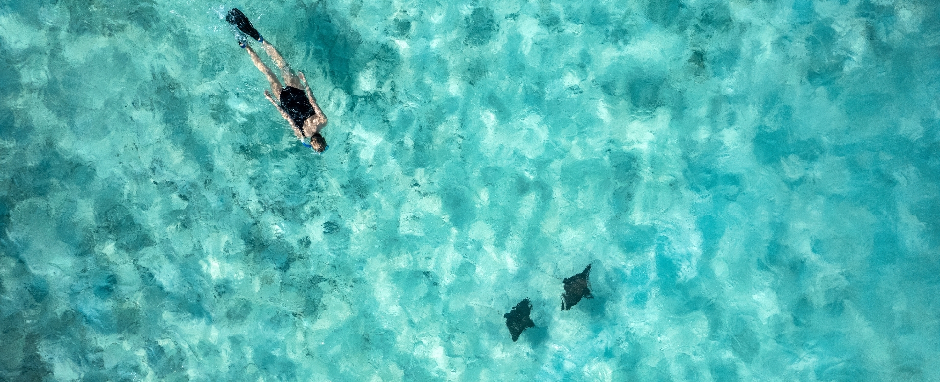 Best Places to Snorkel in the Maldives Atolls, Reefs & Marine Life