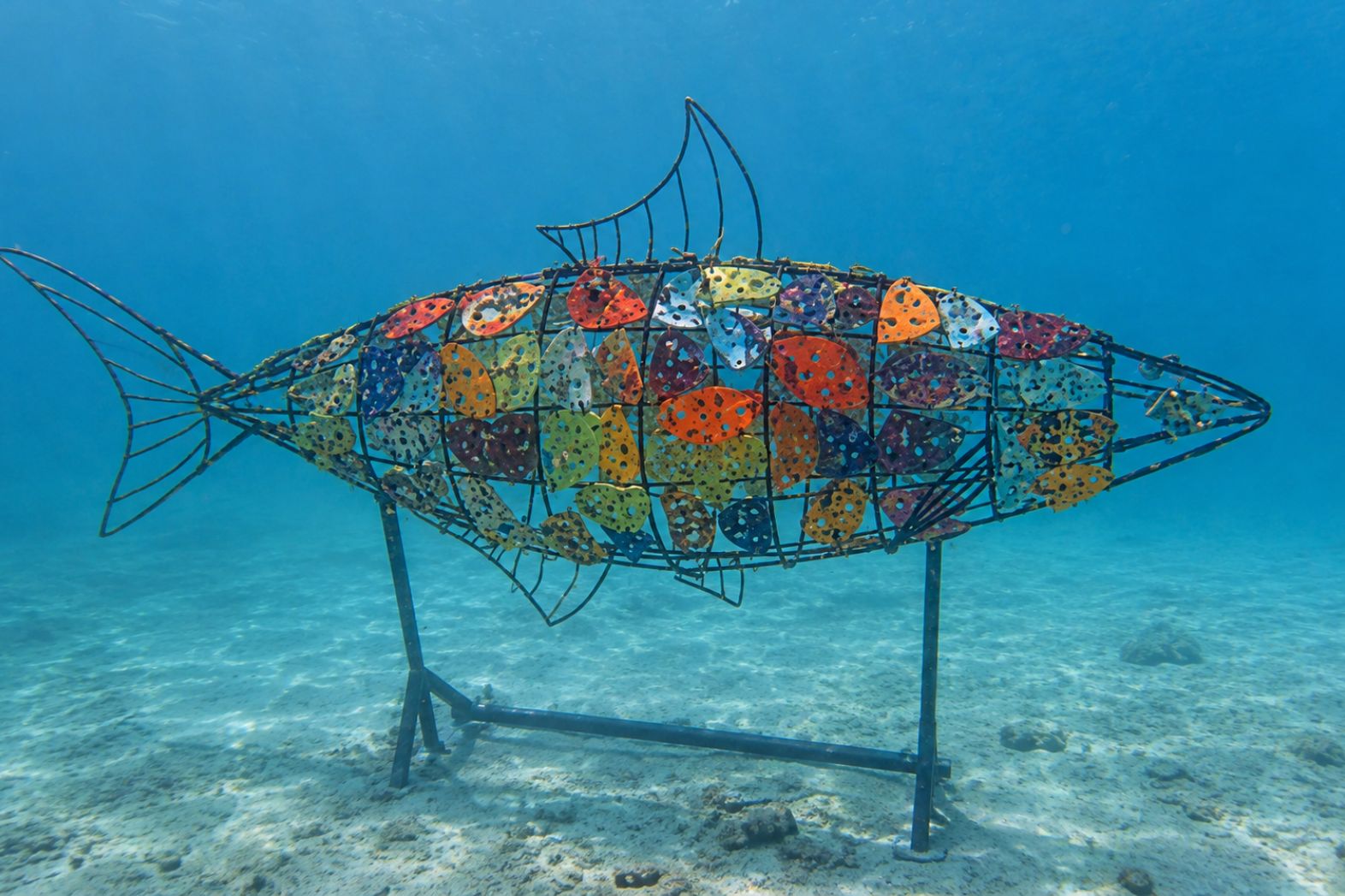 Sean Wotherspoon ceramic fish sculpture