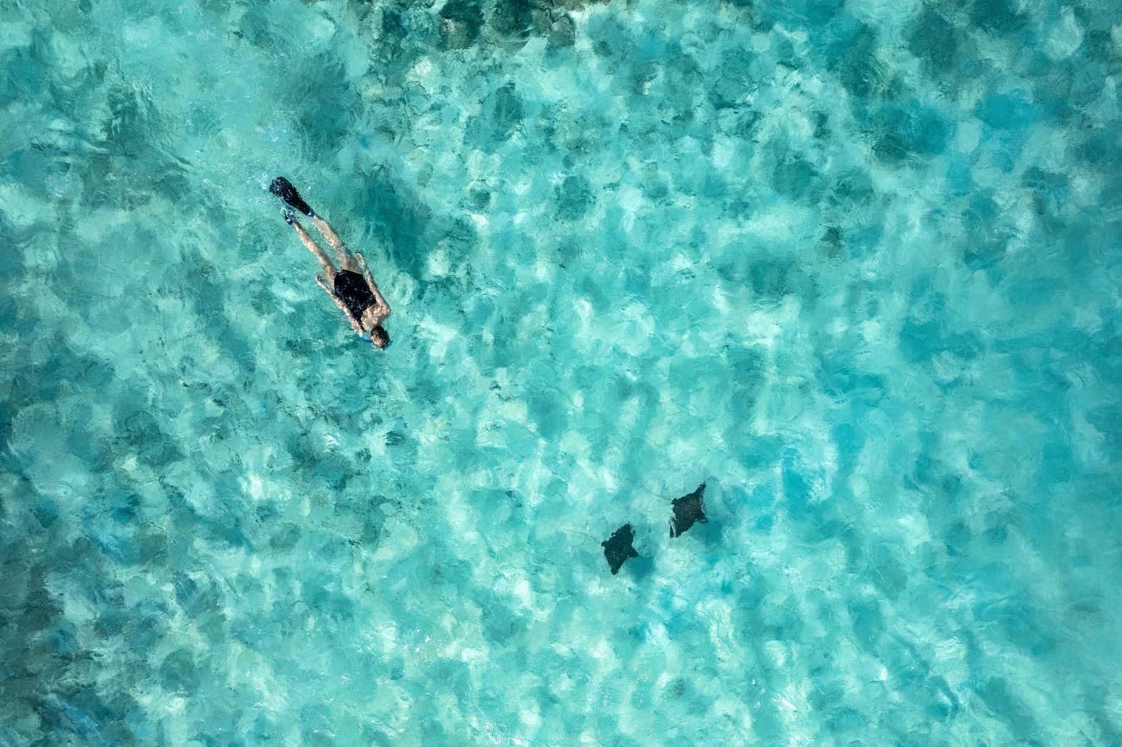 When Is the Best Time to Snorkel in the Maldives